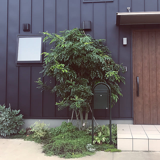 haruさんの実例写真
