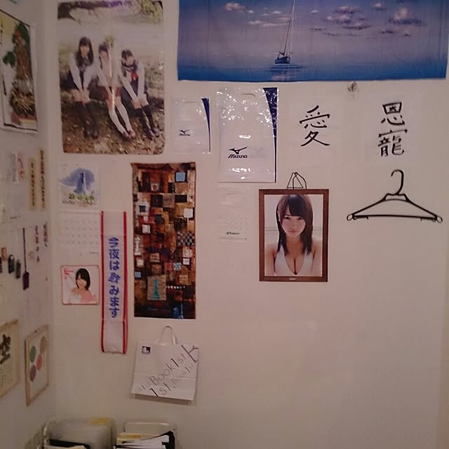 壁/天井のインテリア実例 - 2014-03-14 01:10:58