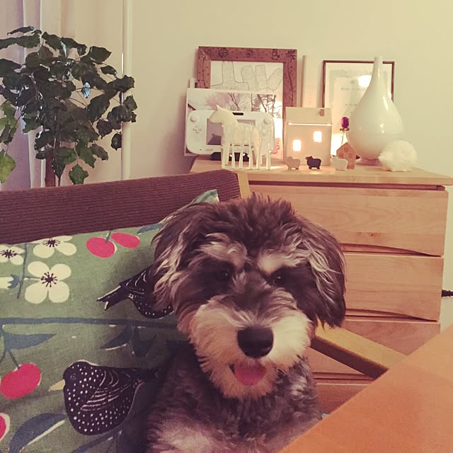 yurieさんの実例写真