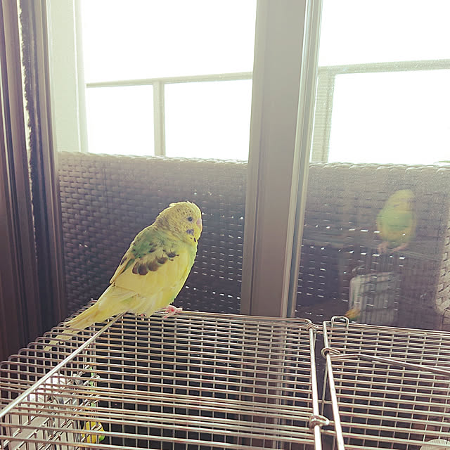kyonさんの実例写真