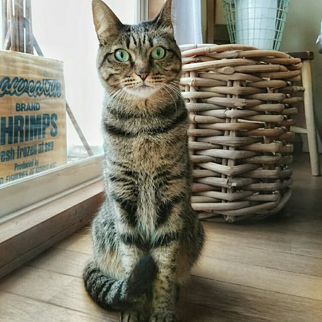 weさんの実例写真