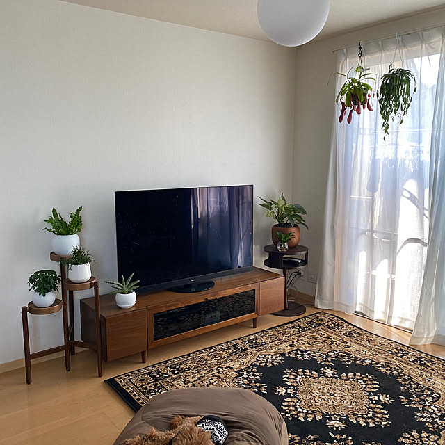 Shiorさんの部屋