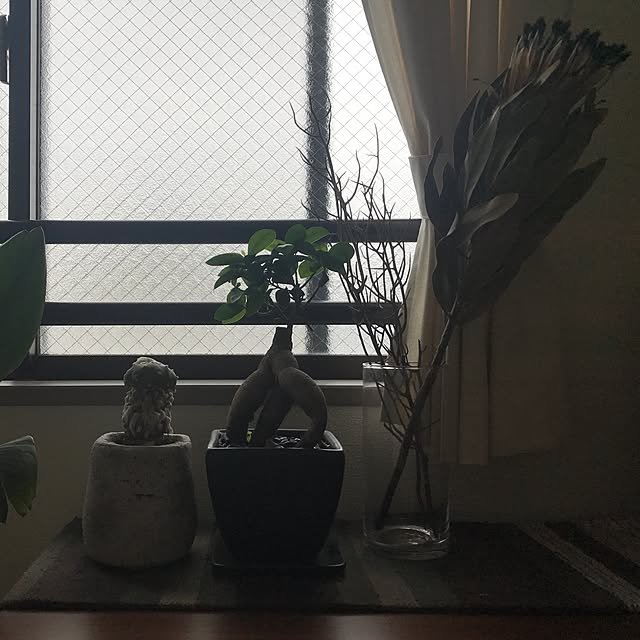 Naoさんの実例写真
