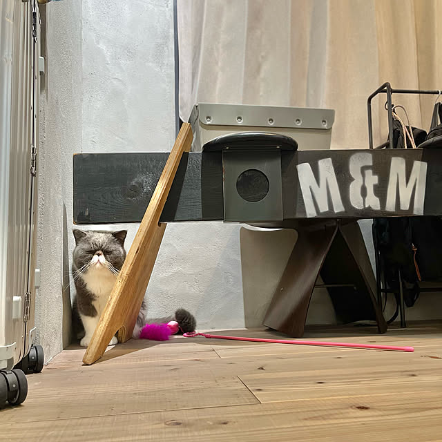 osamu0407さんの実例写真