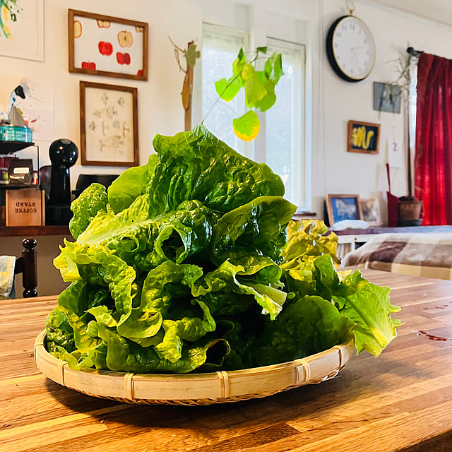 tomorinさんの部屋