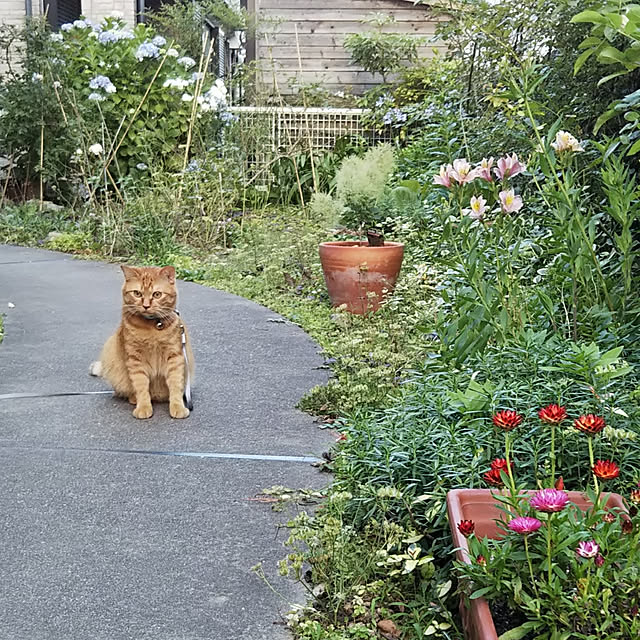 yum0408さんの実例写真