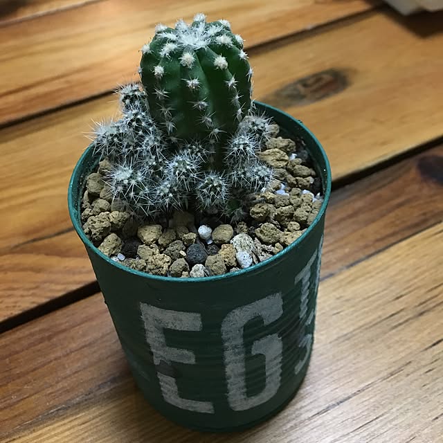tetra163さんの実例写真