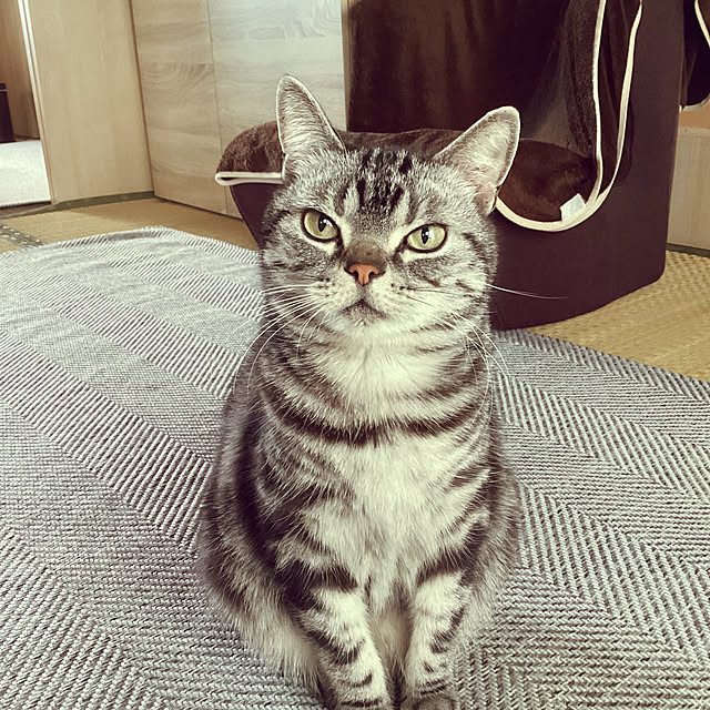 richanさんの実例写真