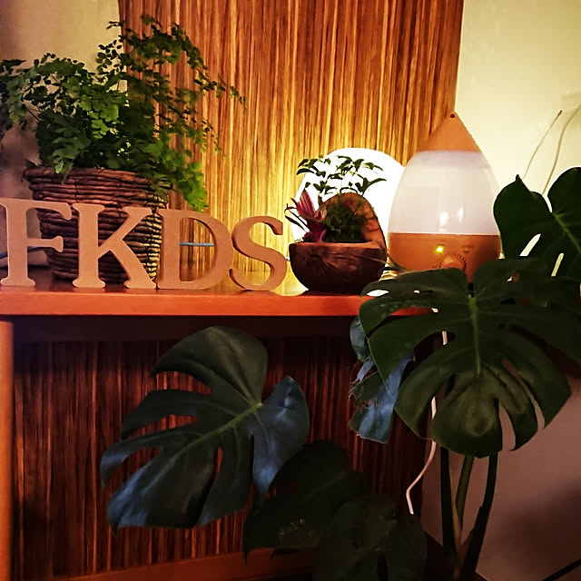crokotさんの実例写真