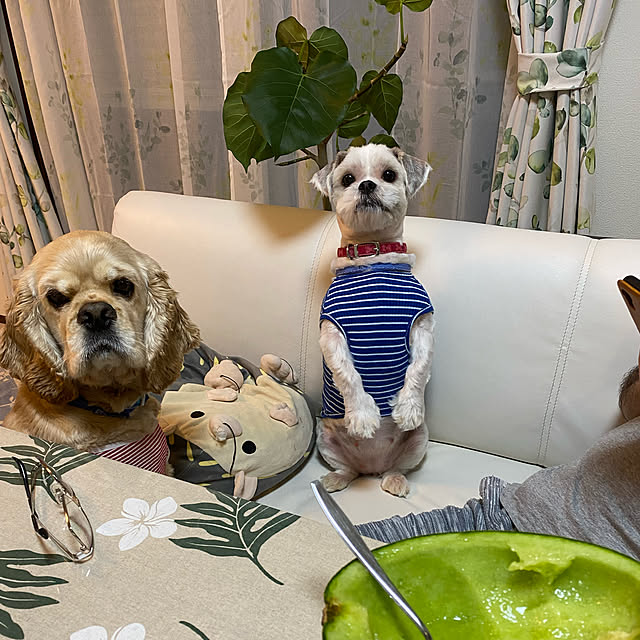 emiさんの実例写真