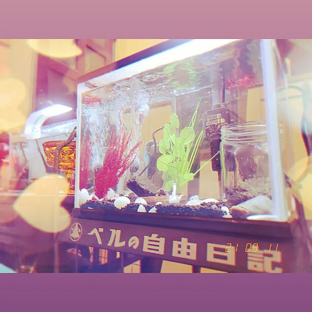 airuhinaさんの実例写真