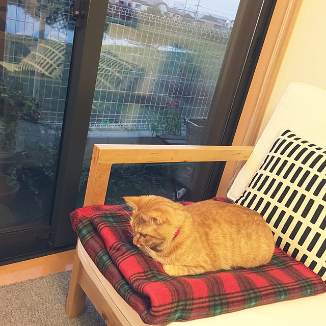hanaさんの実例写真
