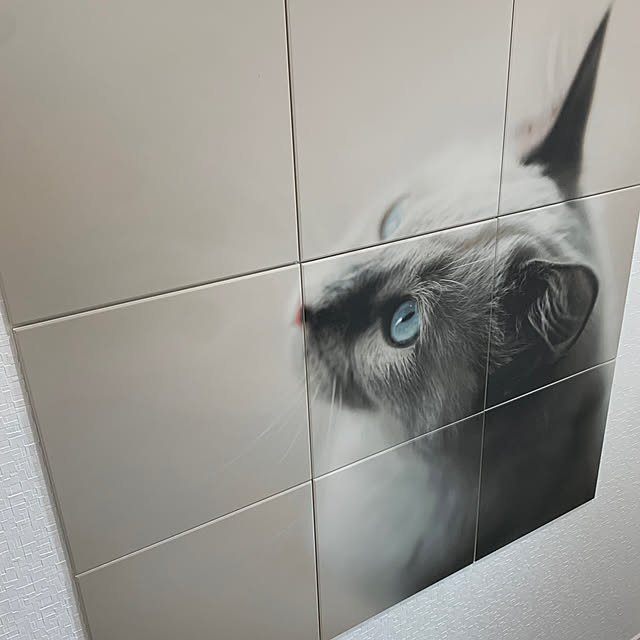 nyuuno0202さんの実例写真