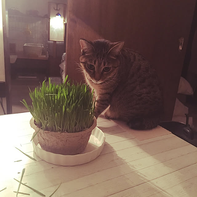 Mさんの実例写真