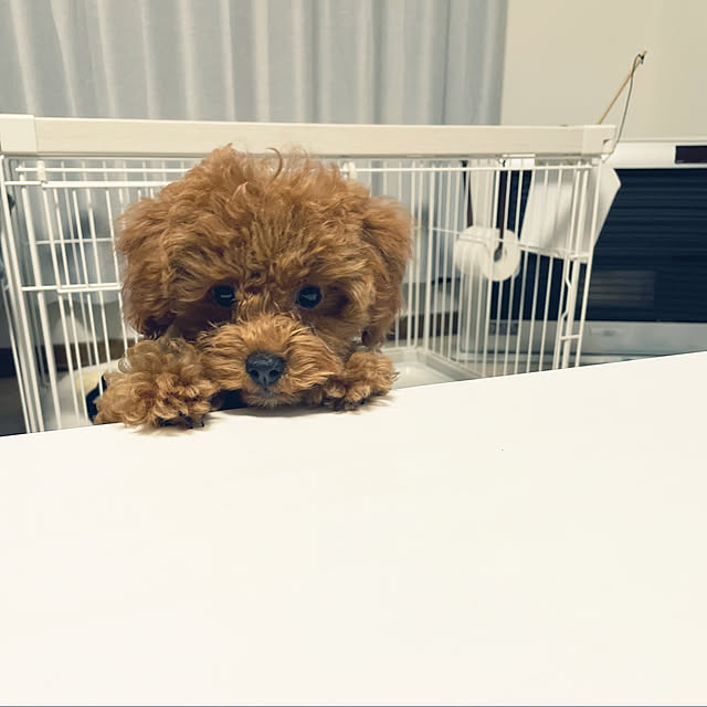 Megumiさんの実例写真