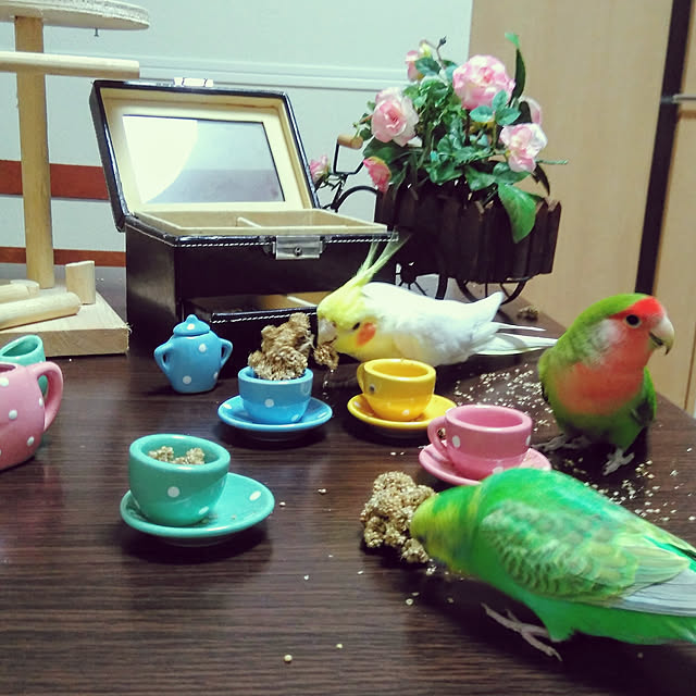 toratanさんの実例写真