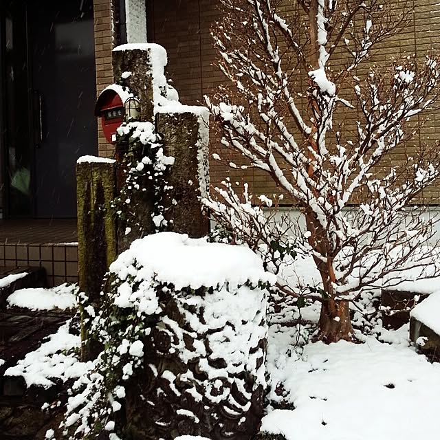 Kaccaさんの実例写真