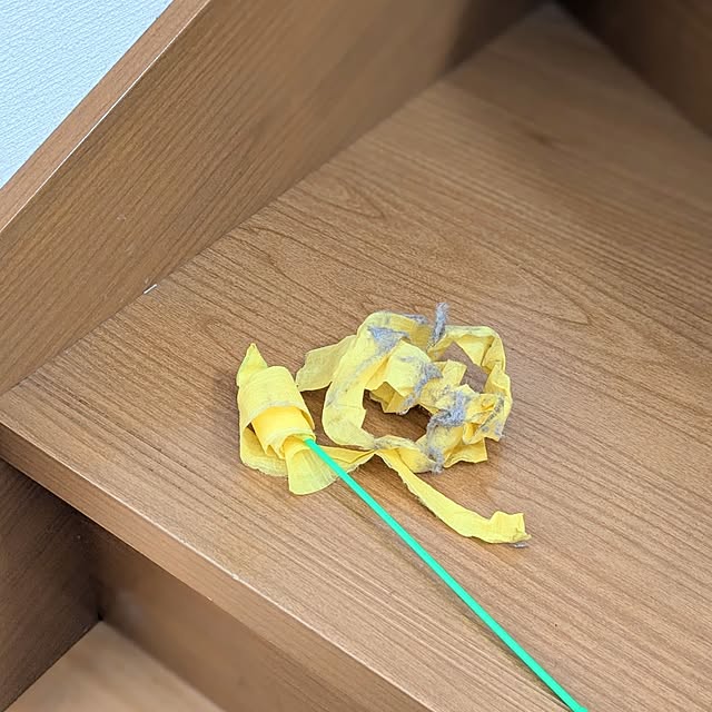 cochonさんの部屋