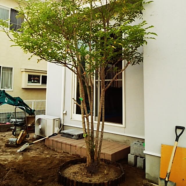 torao.jdさんの実例写真