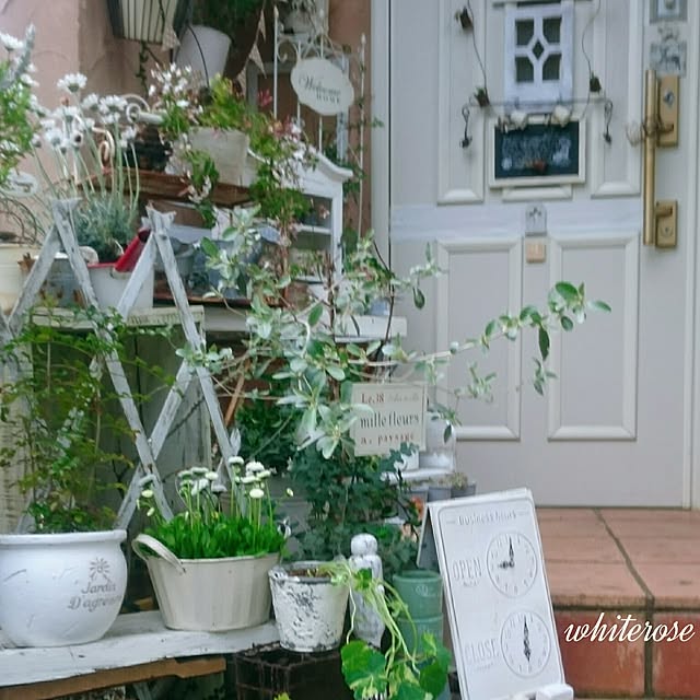 whiteroseさんの実例写真