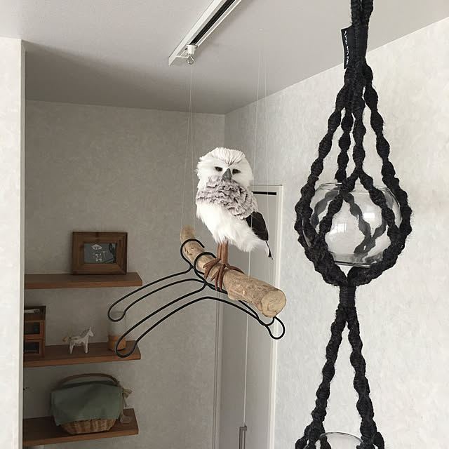 importantさんの実例写真