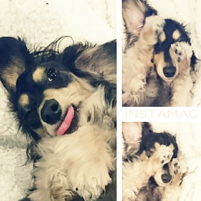 cocosorasakuさんの実例写真