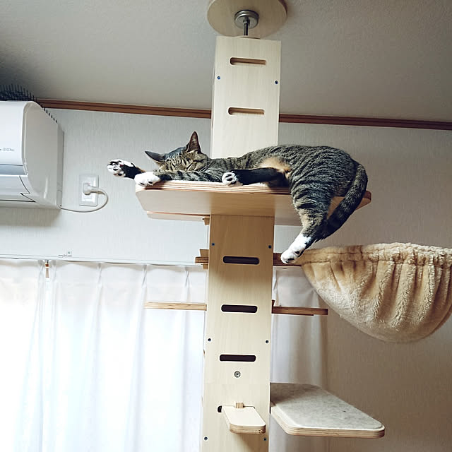 nachiさんの実例写真