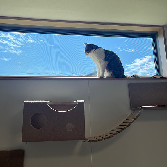tiroさんの部屋