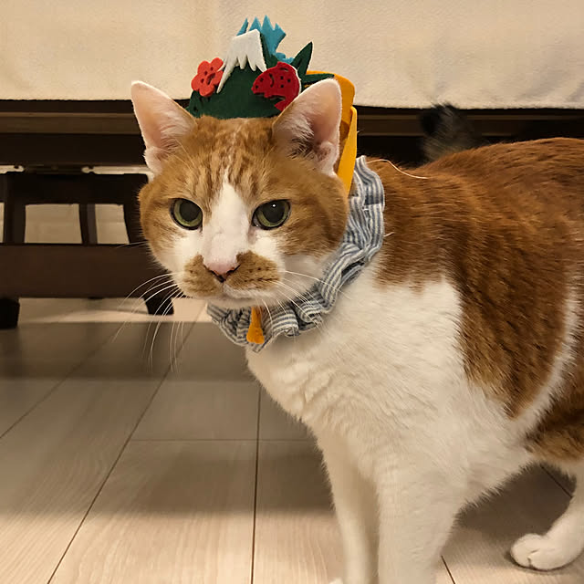 mikenekoさんの部屋