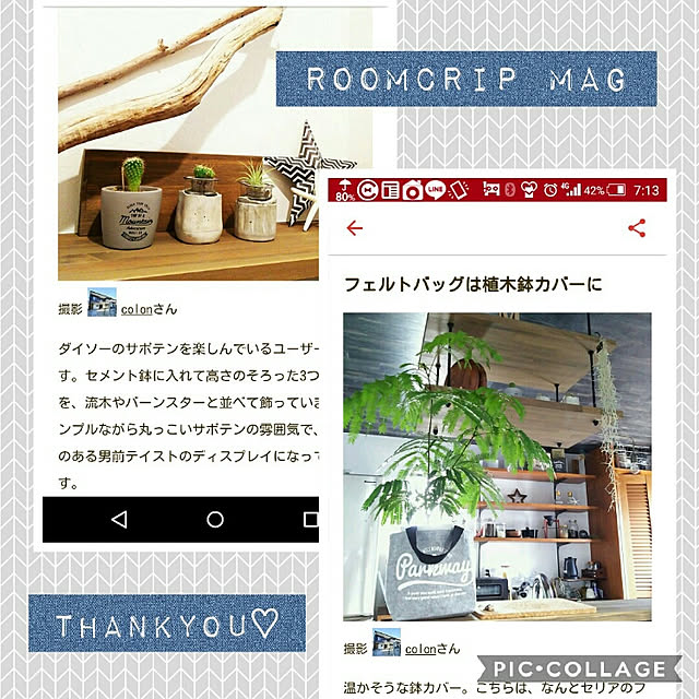 colonさんの実例写真