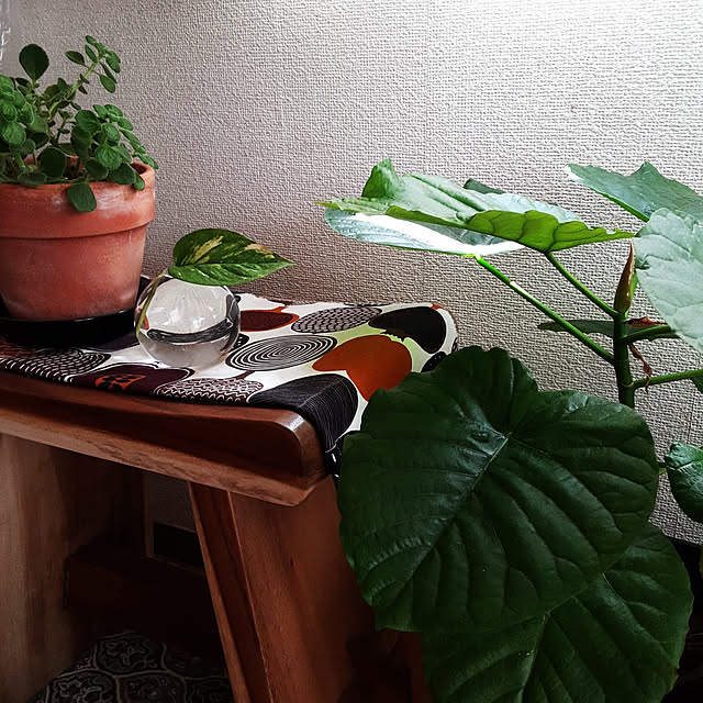 ririeeさんの実例写真