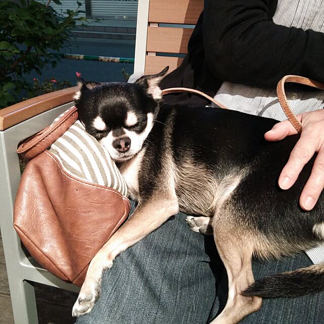 akhmさんの実例写真