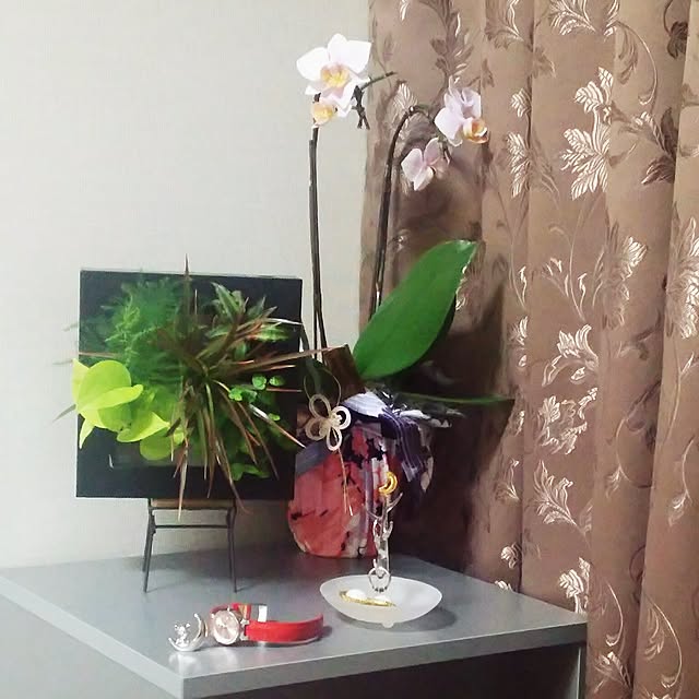 korilakkumausagiさんの実例写真