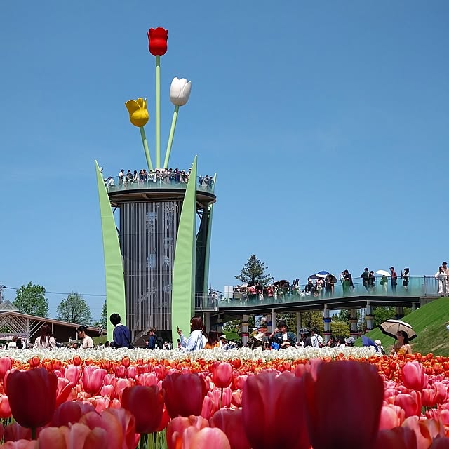 chiiyanさんの部屋