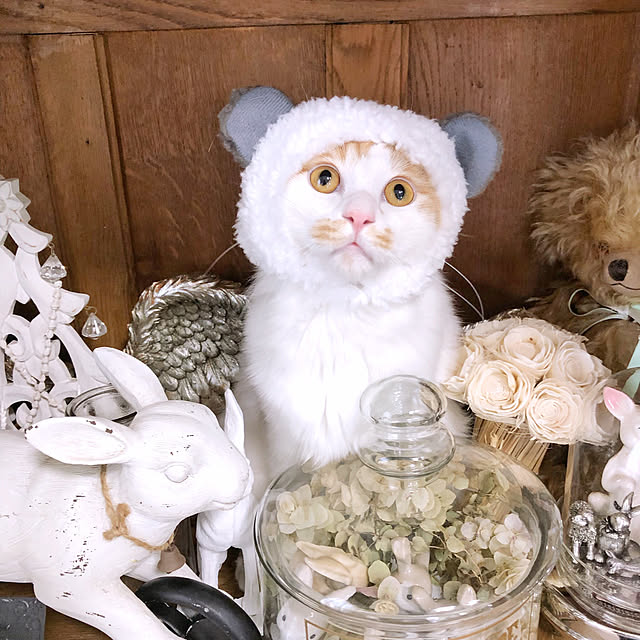 yuchiさんの実例写真