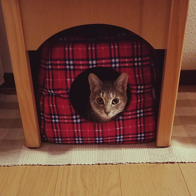 yukiさんの実例写真