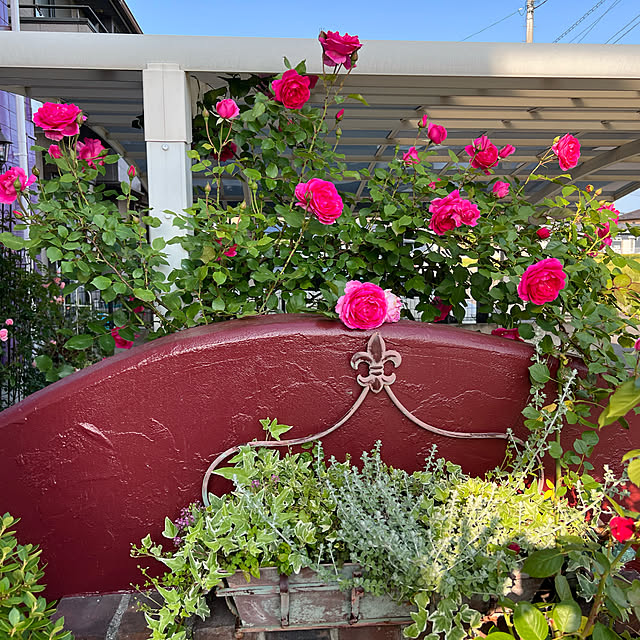 AYUKOさんの実例写真