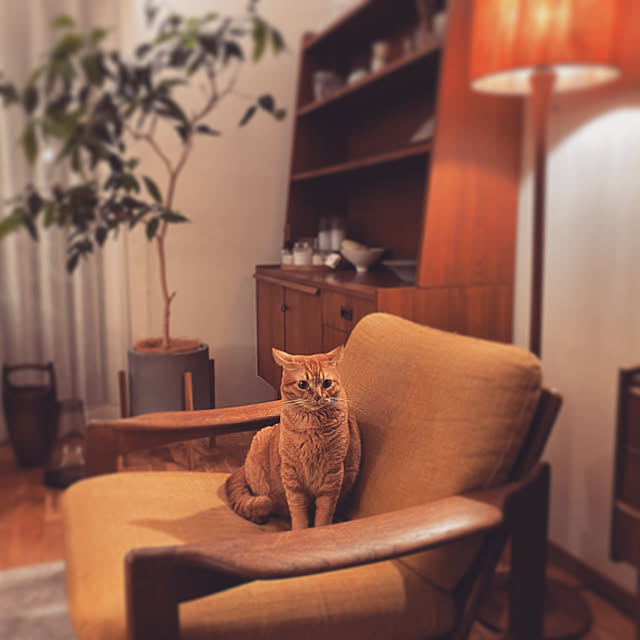 Hisashiさんの実例写真