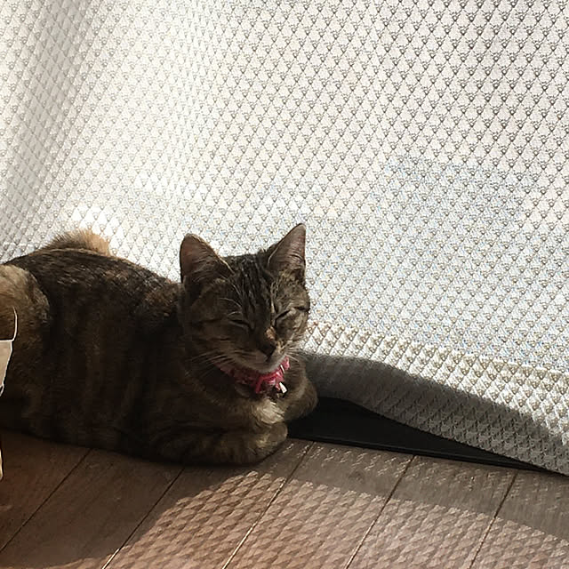 marikoさんの実例写真