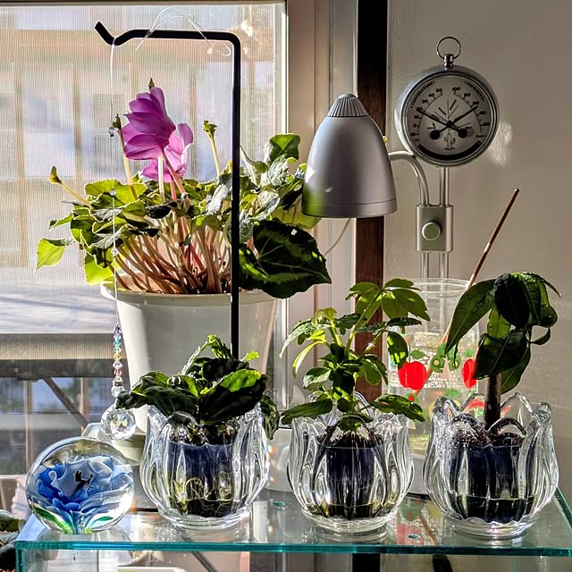 mi-saさんの実例写真