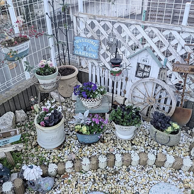 purpureさんの実例写真