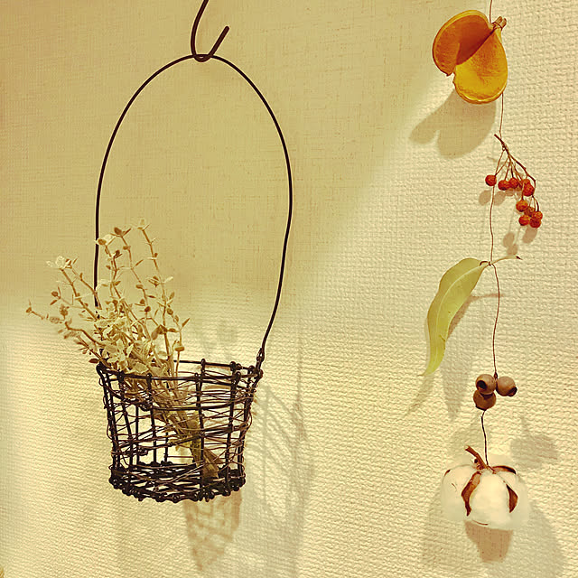 ecoさんの実例写真