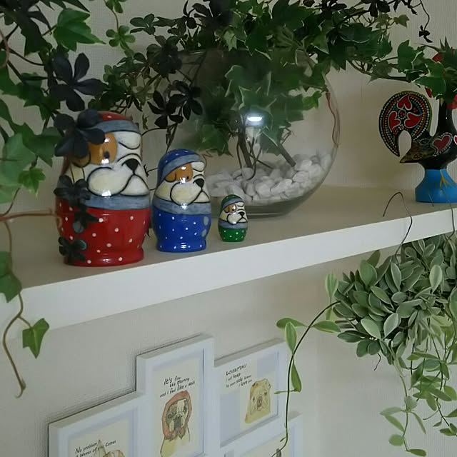 panchobiさんの実例写真