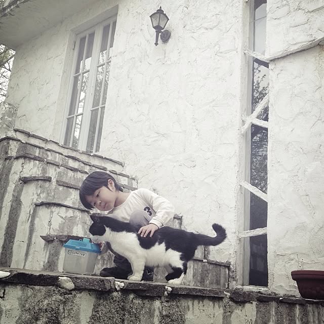 mikarinさんの実例写真