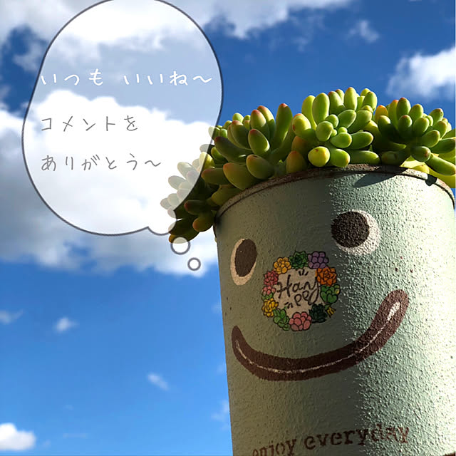 hamuさんの実例写真