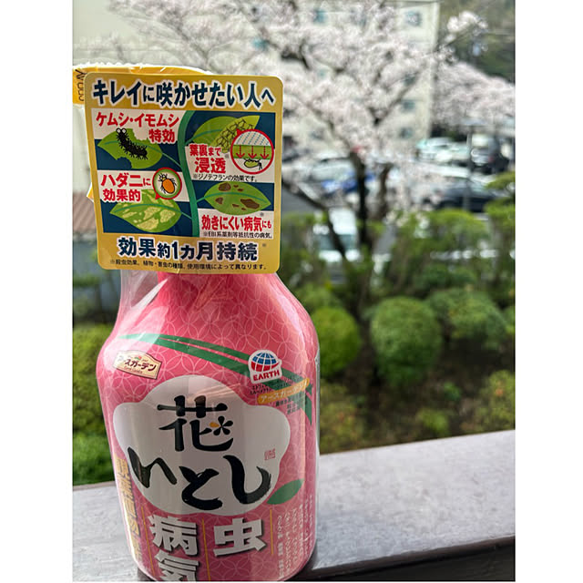 syutmmさんの実例写真