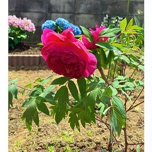 Fleur_さんの部屋