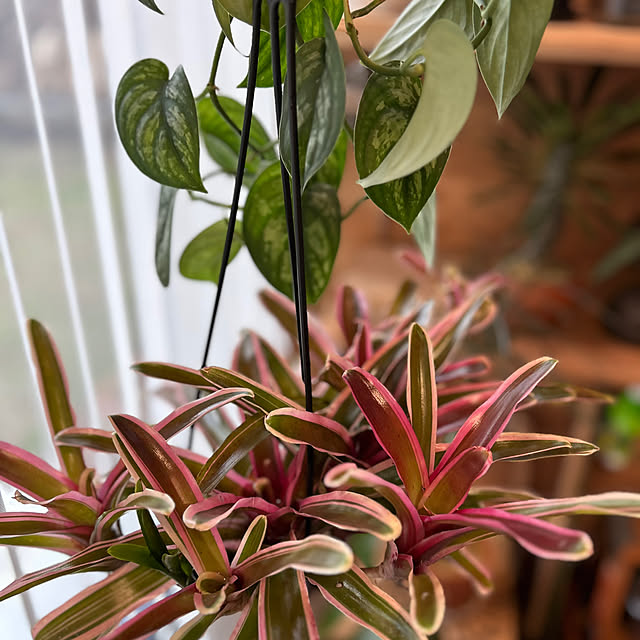 nene0183さんの部屋