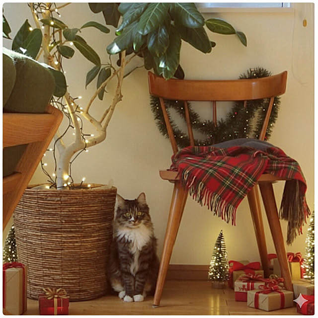 Hisashiさんの実例写真