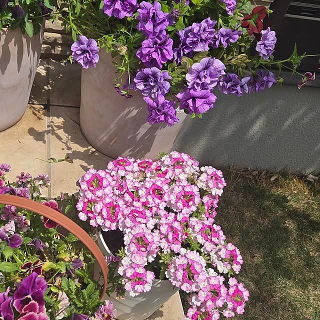 mutyukingさんの部屋